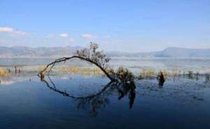 适合一个人旅游的地方，极力推荐一下这些地方