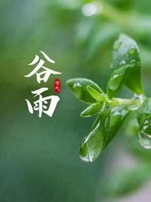 谷雨是什么节气,谷雨是什么节气含义介绍